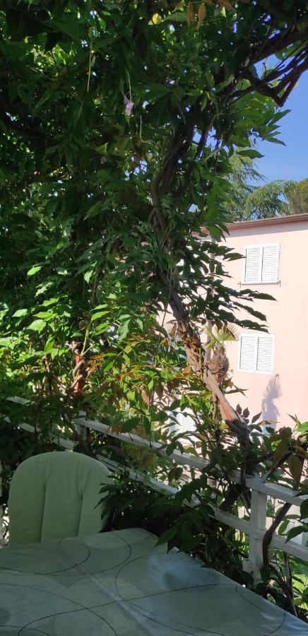 Sumamore Poreč Exteriör bild